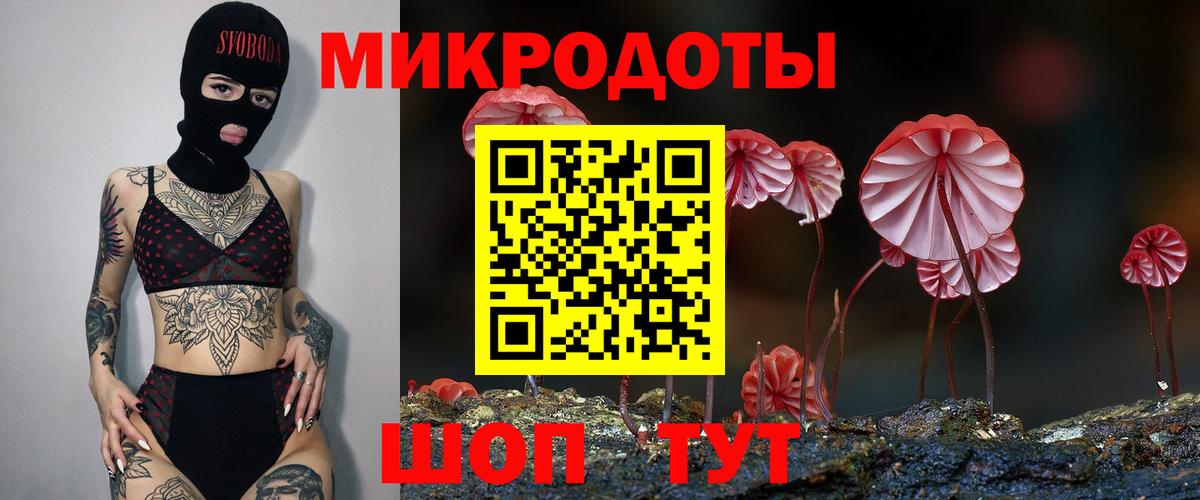 Галлюциногенные грибы Psilocybe Рязань